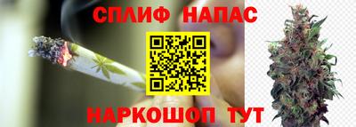 прущие грибы Обнинск