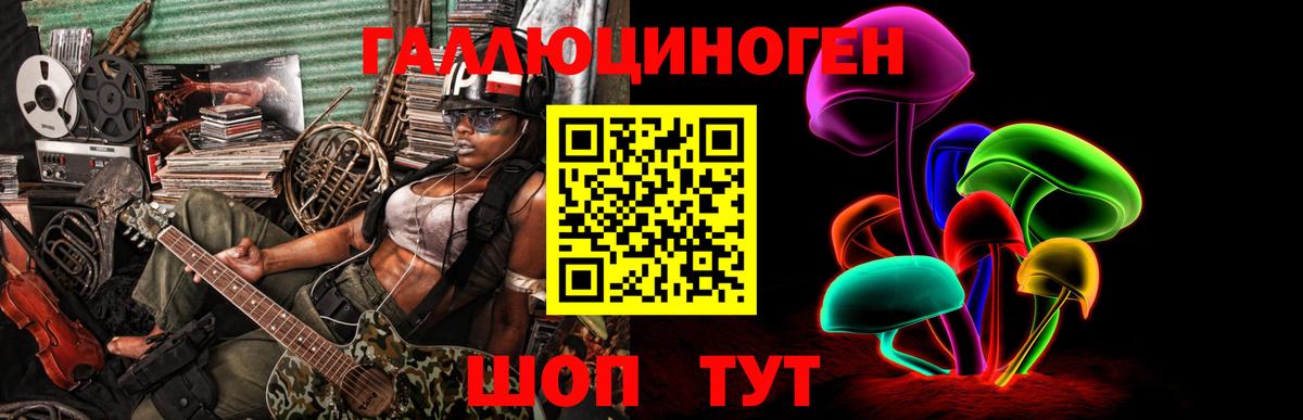 Псилоцибиновые грибы Cubensis  Вход с VPN  Балтийск 